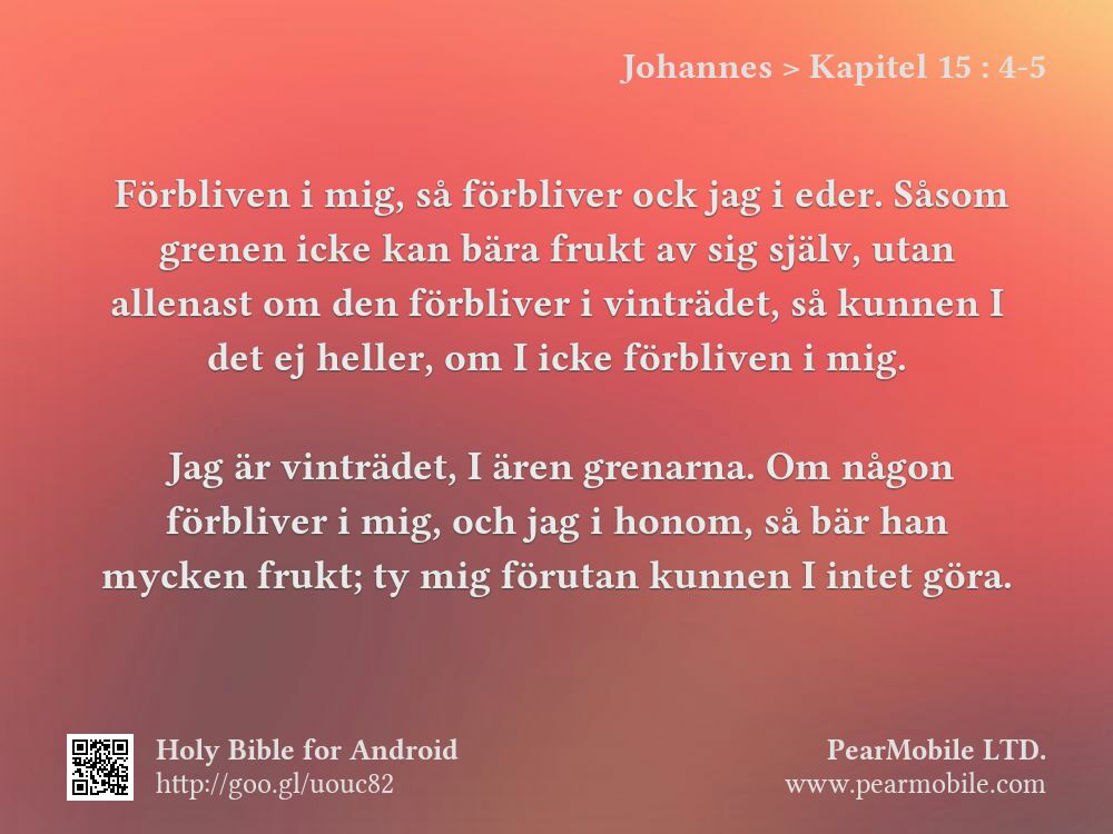 Johannes, Kapitel 15:4-5
